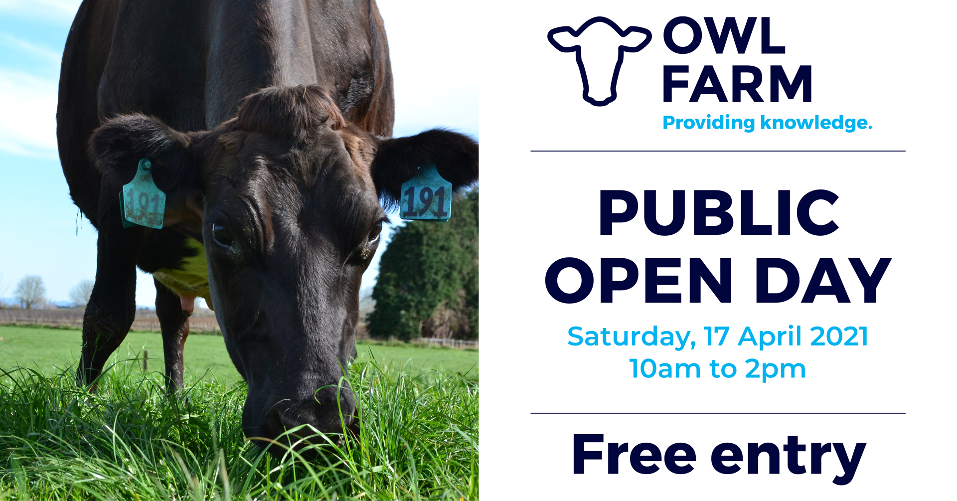 Public Open Day