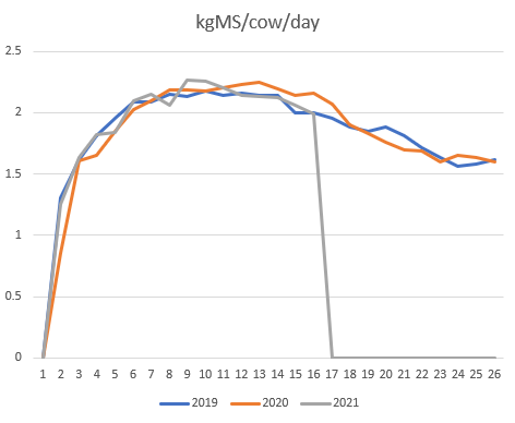 kgMS-cow-day